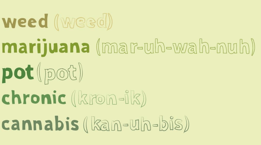 Marijuana Provincetown Terms