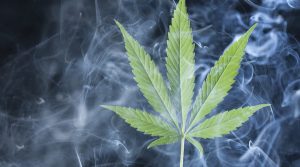 Massachusetts Cannabis Laws
